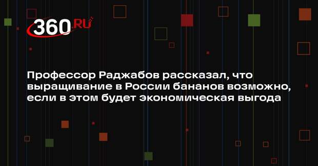 Профессор Раджабов рассказал, что выращивание в России бананов возможно, если в этом будет экономическая выгода