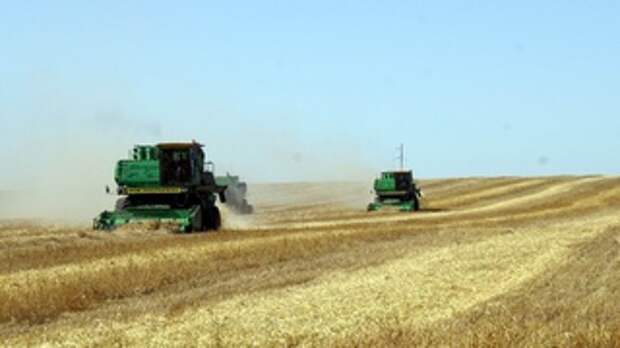 Сельское хозяйство. АПК. Уборка урожая. Сельхозтехника / Фото: Екатерина Смолихина / amic.ru