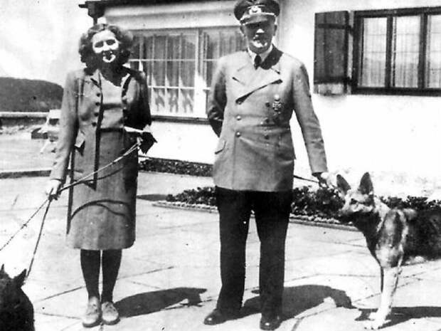 Как нацисты учили собак говорить, читать и писать