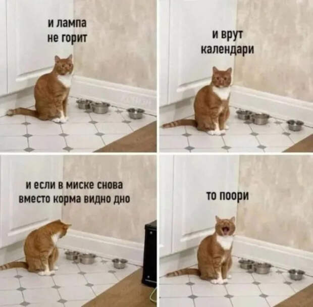 Юмор для позитивного старта очередной рабочей недели