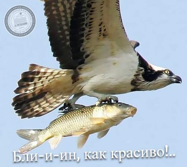 Блин, как красиво!