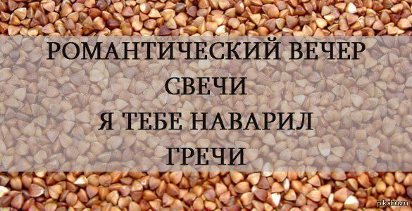 Злободневные цитаты. Голосуйте!