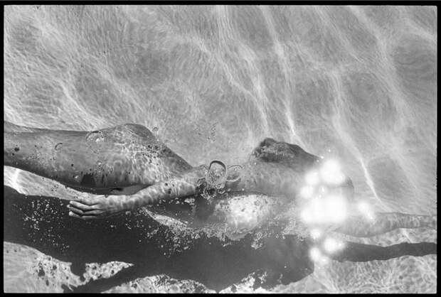 Обнаженные люди под водой: фотографии Deanna Templeton