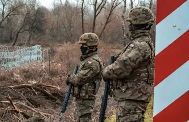 Батальоны поляков на Украине приняли последний бой…