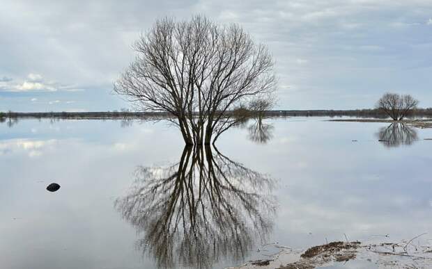 Потеряла почти метр: вода в Оке у Рязани падает все быстрей