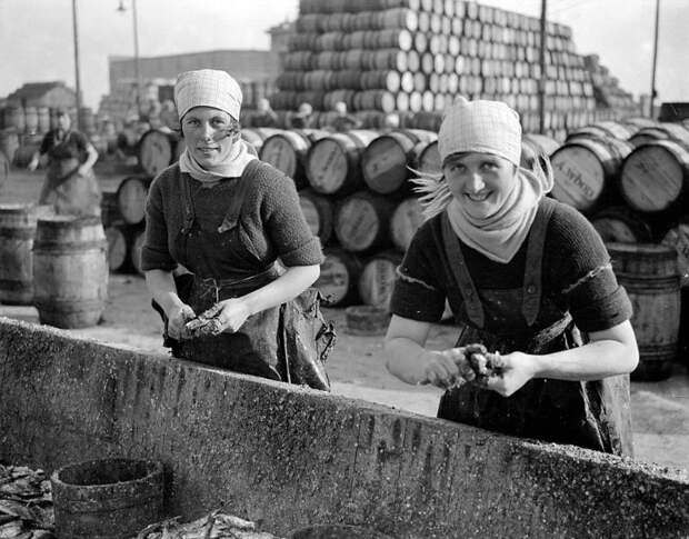 Девушки-селедки в британских доках в 1920-х годах