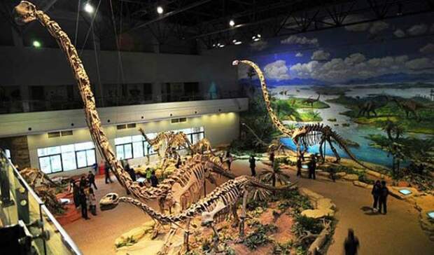 Музей динозавров Да Шанпу