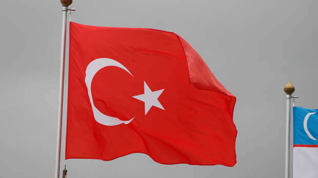 Мы заняли чёткую позицию: Власти Турции отказались от санкций против России