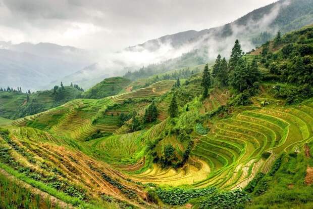 Рисовые террасы Лонгшэнь, Китай красивые места, мир, природа, путешествия, сказка