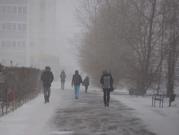 Немцы уже сейчас вздрагивают от холода. Что делать? На поклон к России