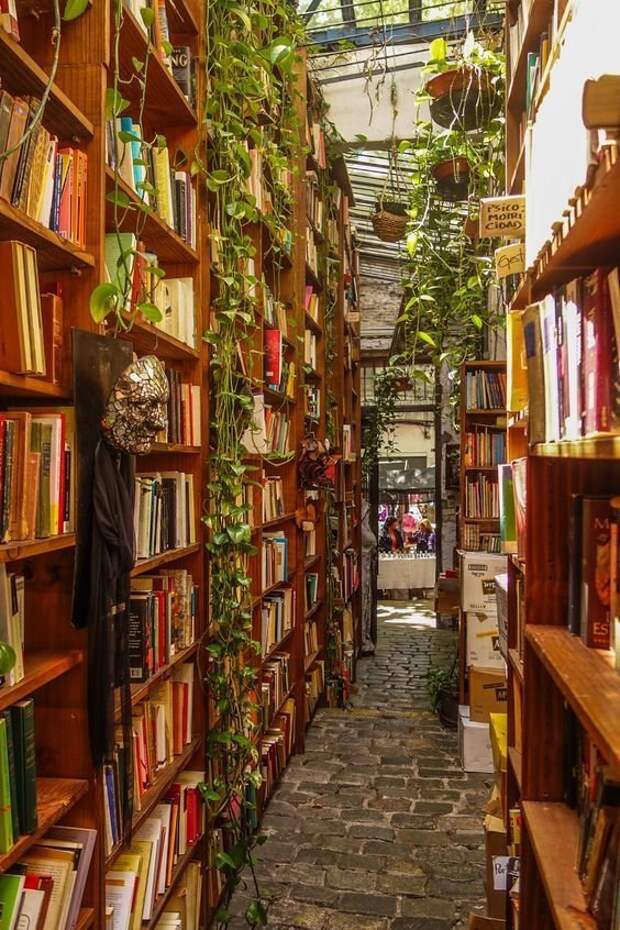 Для любителей почитать библиотеки, книги, люди