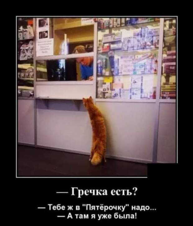 Демотиваторы про коронавирус с надписями. Подборка chert-poberi-dem-koronavirus-chert-poberi-dem-koronavirus-56380616062020-1 картинка chert-poberi-dem-koronavirus-56380616062020-1