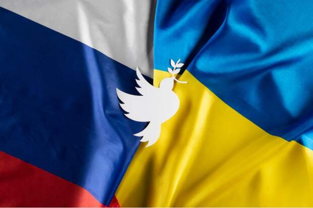 Welt: в 2022 году Украина вышла из переговоров с Россией из-за языка