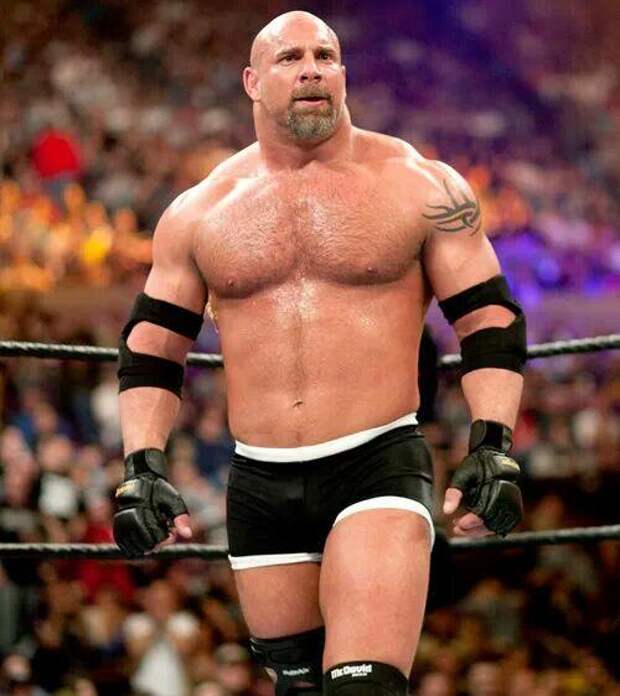 goldberg-2