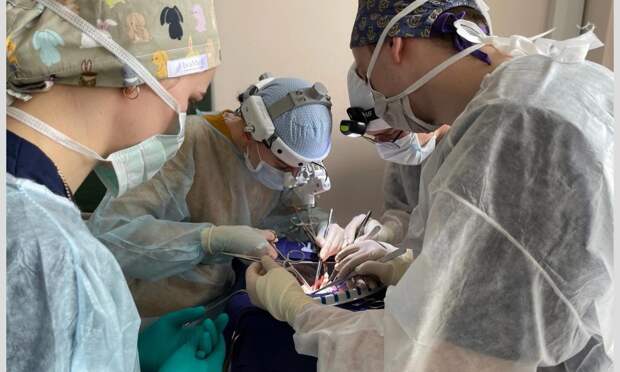 Сборная хирургов СГМУ заняла второе место в международной студенческой олимпиаде
