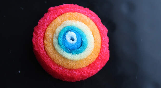 Silkworm cocoons provided the starting material for these concentric layers dyed with food coloring. Neurons populated the layers, which served as a scaffold for creating a three-dimensional model of a brain.