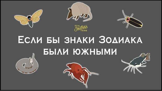 Есть южная версия знаков Зодиака — и она очень точна