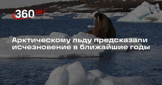 Гетеборгский университет: лед в Арктике может полностью растаять через 3 года