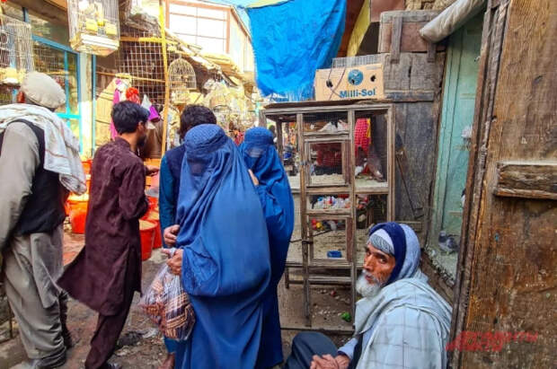 В Афганистане задержали колдуний в мужской одежде, их ждет шариатский суд