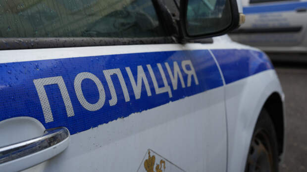 «Играла в игру»: странная просьба школьницы стала предвестником её исчезновения в Ленобласти