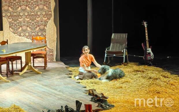 Бобтейл Граф сыграл в спектакле «Собачье сердце» на фестивале "Молодежь. Театр. Фест" в ТЮЗе