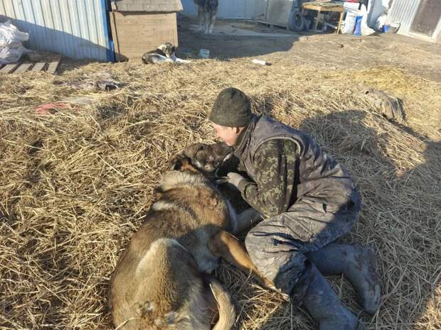 Приютский пес-инвалид из Астрахани обзавелся мамой в Питере