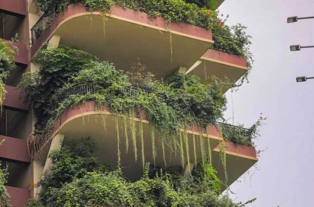 Элитный жилой комплекс с «вертикальным лесом» превратился в декорацию к фильму-катастрофе  (ФОТО) 