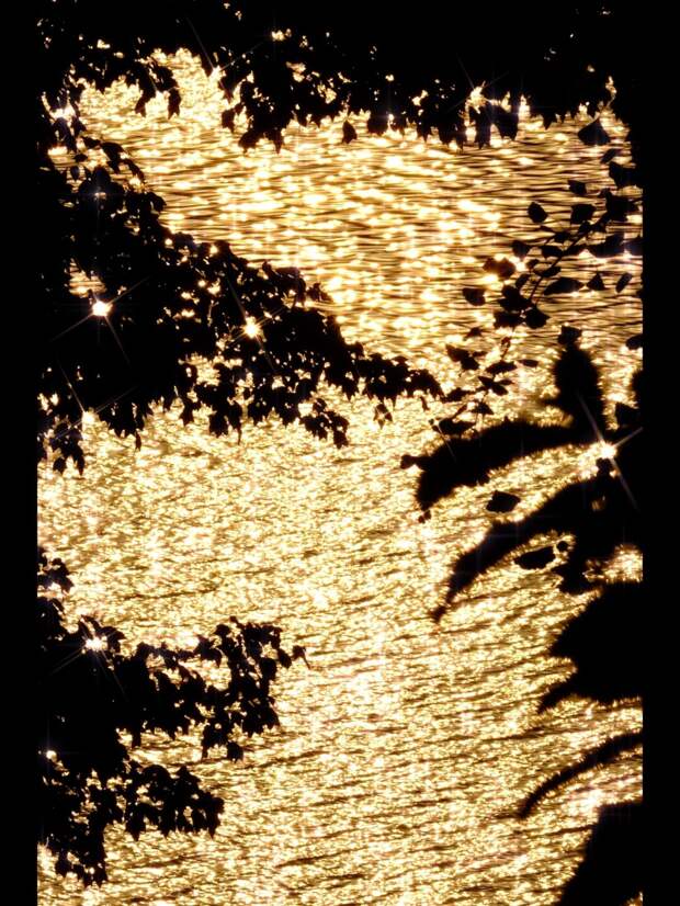 Цифровая фотография 香橙城主 Чжэцзян