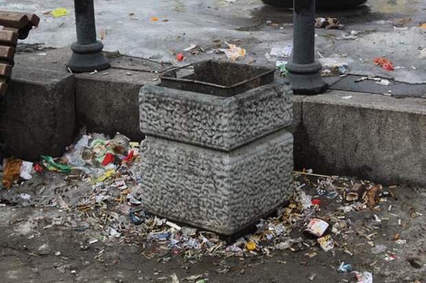 За пол дня петербуржцы 176 раз пожаловались на мусор в городе