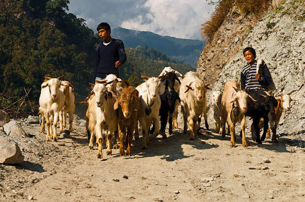 55 фактов о Непале