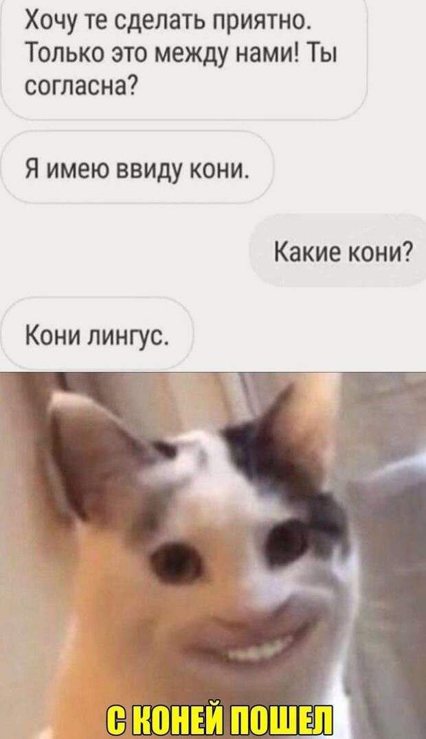 Мемы и приколы про 