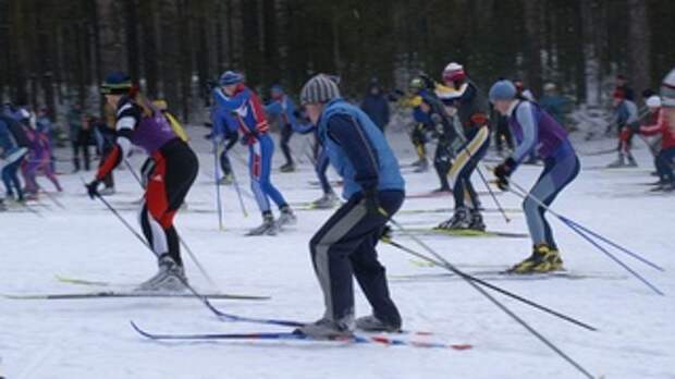Лыжники / Фото: amic.ru