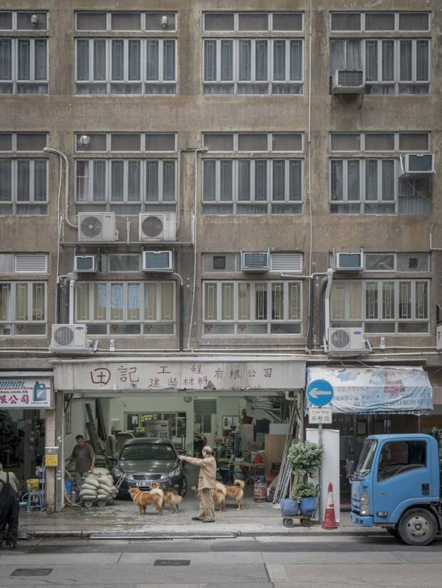 Фотографии собак в гаражах Гонконга