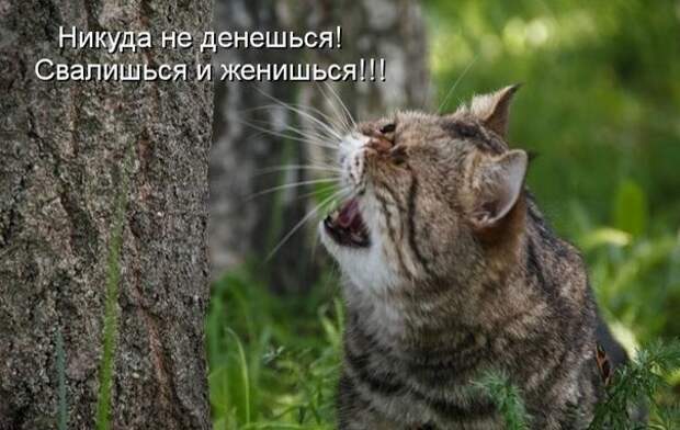 3201191_106600692_2 (604x382, 132Kb)