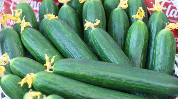 ФАС попросили проверить резкий скачок цен на огурцы