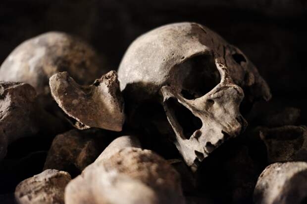 Обнаружены два древнеегипетских черепа со следами операции на раковой опухоли