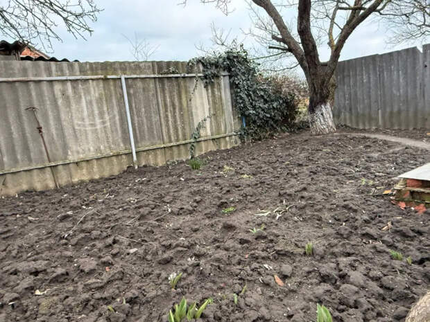 Лучше забора не видели: поставили ограждение за 1 день и за копейки — соседи в шоке