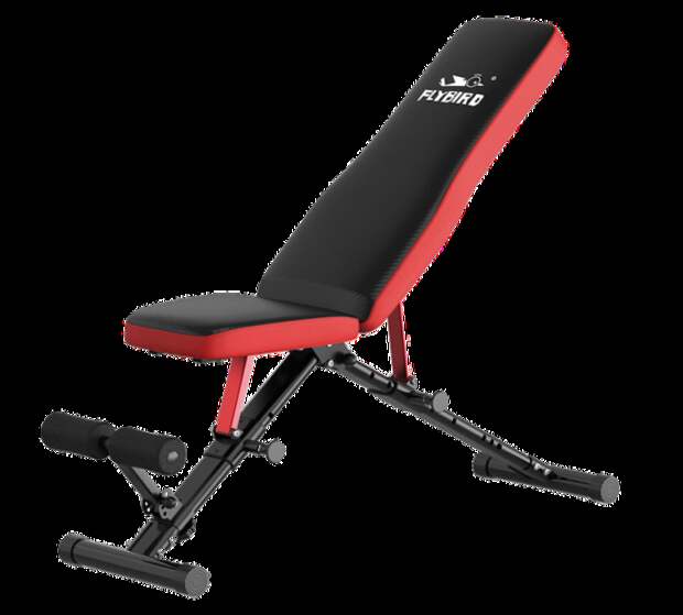 FLYBIRD Adjustable Workout Bench - daily deals