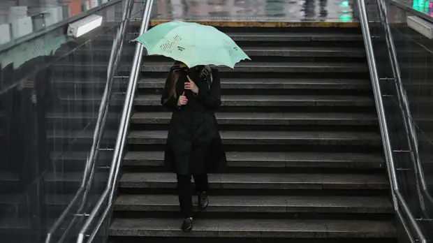 В Москве за сутки выпала четверть месячной нормы осадков