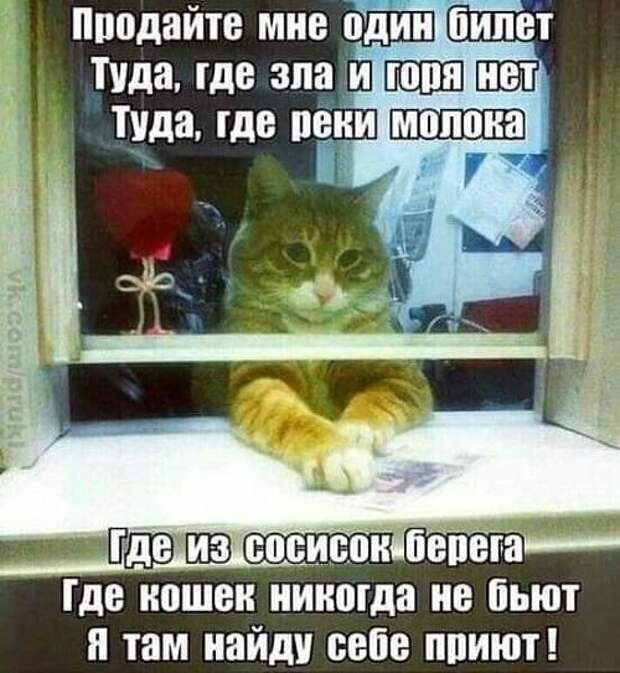 Хорошие свежие мемы (понедельник)