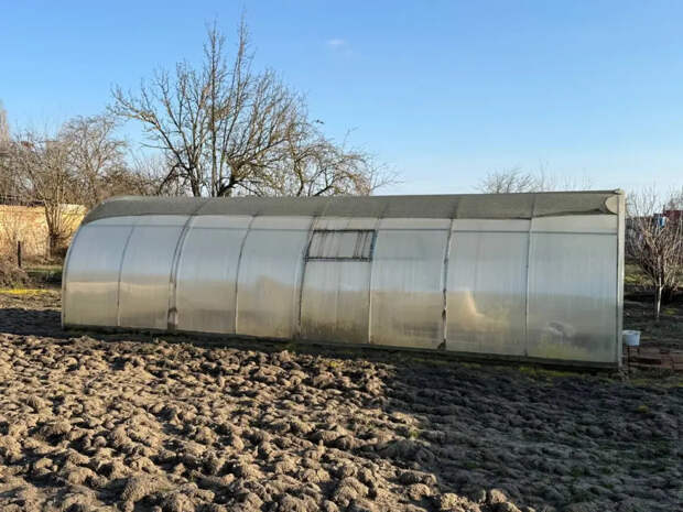 Обычная зола их не берёт: как я за один сезон избавилась от рыжих слизней-монстров — пошаговый план