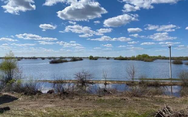 Лесопарк готовится встретить большую воду