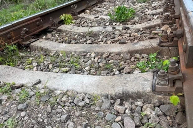 В Дагестане из-за подтопления эвакуируют 119 пассажиров двух поездов