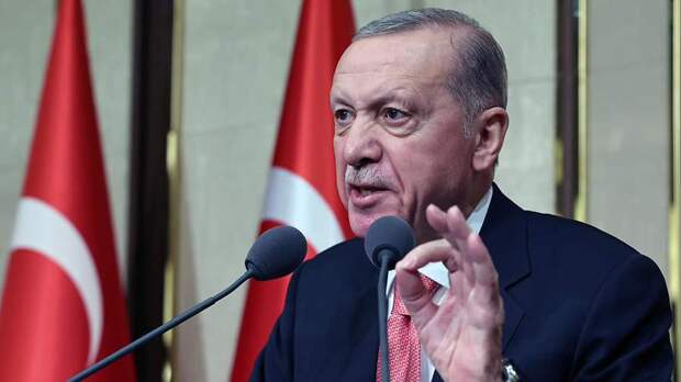 Эрдоган назвал позором западных демократий разгул в Европе неонацистских движений