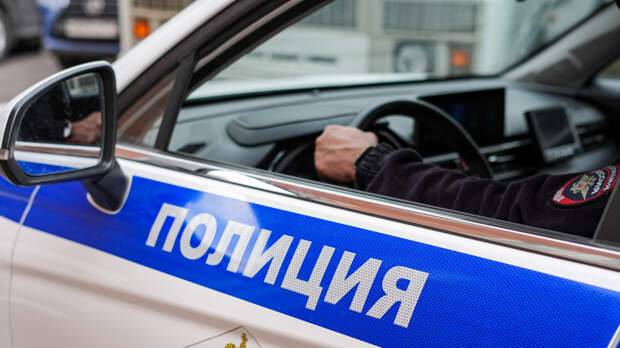 Школьница сколотила банду для нападений на сверстников в Большом Луге