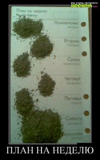 Смешные демотиваторы