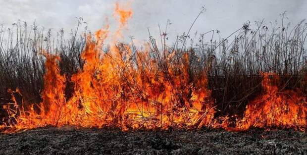 В Бобруйском районе от ожогов, полученных при сжигании мусора, умер пенсионер.