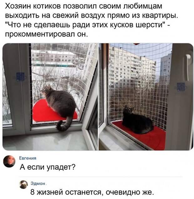 Смешные и познавательные картинки