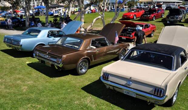 авто, ford, mustang