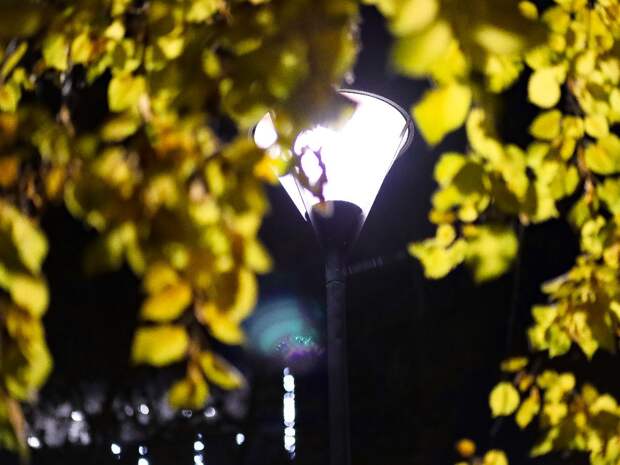 Идеями по благоустройству территорий могут поделиться тюменцы